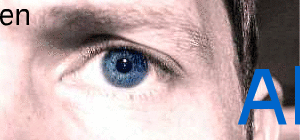 Auge